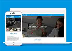 专业咨询服务展示HTML网页模板下载 - 觅资源