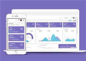 手机app运营数据统计后台模板下载 - 觅资源