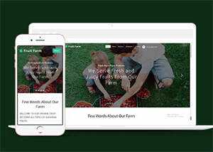 新鲜农产品类公司网站模板下载 - 觅资源