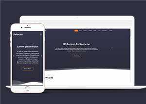 简约业务团队动态响应式网页模板下载 - 觅资源