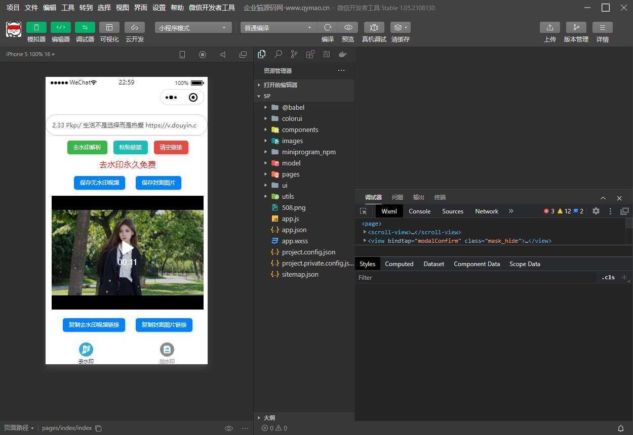短视频去水印和图片加水印生成微信小程序源码 - 觅资源