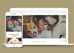 宠物美容服务公司网站模板源码 - 觅资源