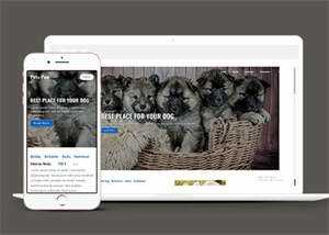 关于宠物狗销售网站模板下载 - 觅资源