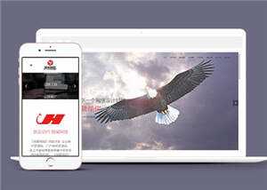 网络公司品牌推广公司网站前端模板下载 - 觅资源