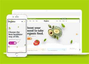 蔬菜水果商店网站响应式模板下载 - 觅资源