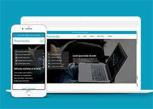 淘宝详情页制作响应式网站模板 - 觅资源