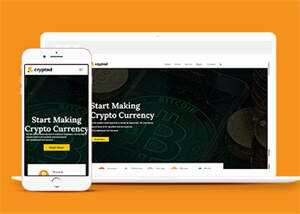 比特币加密货币类网站模板下载 - 觅资源