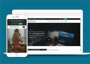 响应式财务管理公司网站模板 - 觅资源