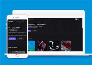 宽屏数字市场交易平台网站模板下载 - 觅资源