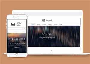 简约专业服务信息在线企业网页模板下载 - 觅资源