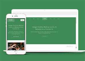 响应式多肉植物种植网站模板下载 - 觅资源