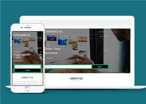 简洁商业贸易服务展示HTML网页模板下载 - 觅资源