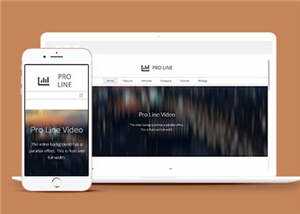 简洁专业服务信息在线响应式网页模板下载 - 觅资源