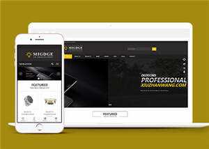 简洁响应式灯具公司前端模板下载 - 觅资源