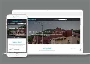 宽屏国外别墅展示类网站模板 - 觅资源