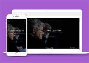 美国律师事务所企业网站模板源码 - 觅资源