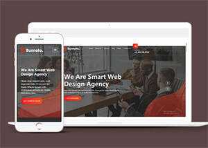 web软件应用开发公司网站模板 - 觅资源