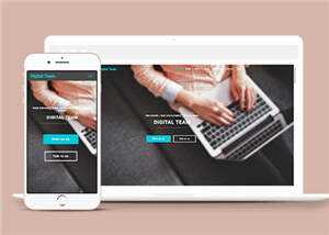 简洁数字团队服务展示响应式网页模板下载 - 觅资源