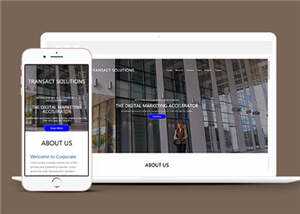 简约公司项目解决方案HTML网页模板下载 - 觅资源