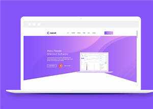 简约软件开发企业网站模板下载 - 觅资源