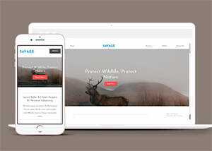 保护野生动物响应式网站模板下载 - 觅资源