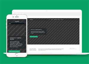 响应式野外游泳爱好者网站模板 - 觅资源