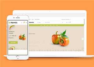 简洁蔬菜水果超市电商网站模板源码下载 - 觅资源