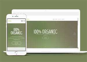 简洁绿色主题公司网站模板下载 - 觅资源