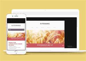 宽屏粉色个人博客主页网站模板 - 觅资源