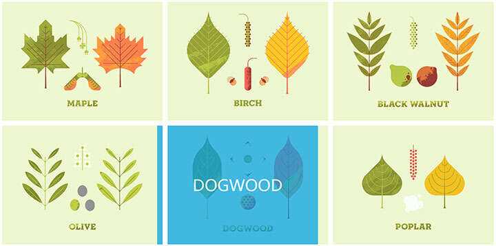 jQuery列表图片鼠标悬停感知方向遮罩层移动特效 - 觅资源