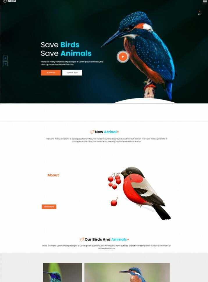 拯救鸟类拯救动物HTML5网站模板 - 觅资源