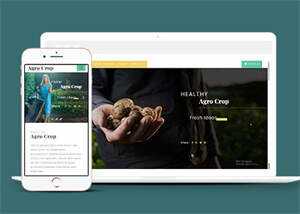 足球运动直播网站响应式模板 - 觅资源