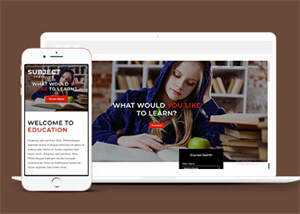 简洁图书馆在线书城网站模板 - 觅资源