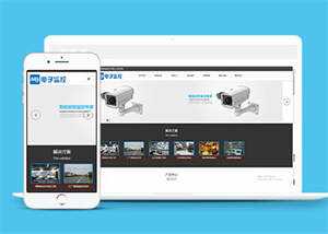 响应式数字防盗类网站前端模板 - 觅资源