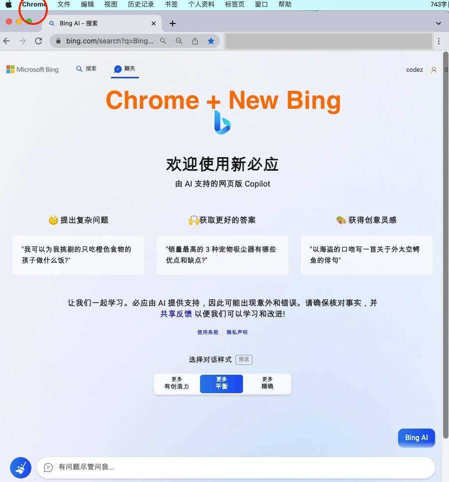 微软New Bing完美聊天机器人源码，支持ChatGPT提示词 国内可用，基本兼容微软 Bing AI 所有功能 - 觅资源