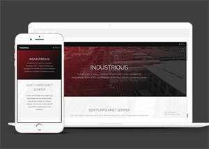 响应式前端框架skin网站模板 - 觅资源