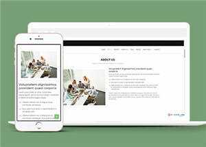 网页设计优化机构响应式网页模板 - 觅资源