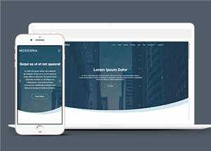 企业业务案例展示响应式网页模板下载 - 觅资源