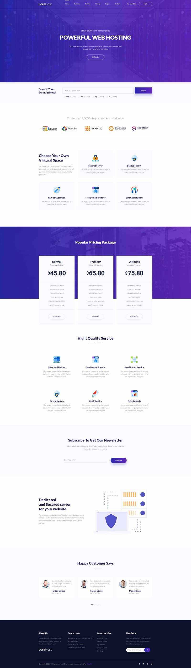 紫色的虚拟主机域名托管服务网站html模板 - 觅资源