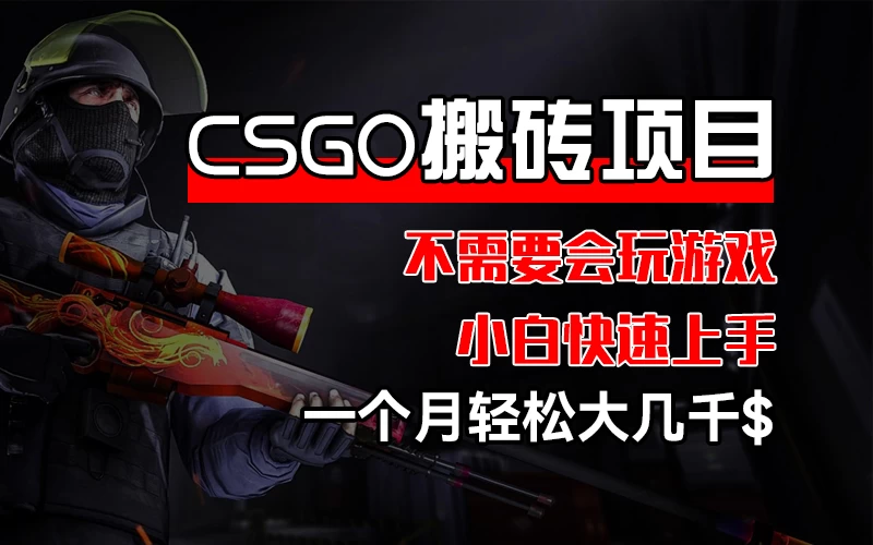 CSGO 装备搬砖项目，操作简单，不需要会玩游戏，小白也能快速上手，一个月轻松大几千 - 觅资源