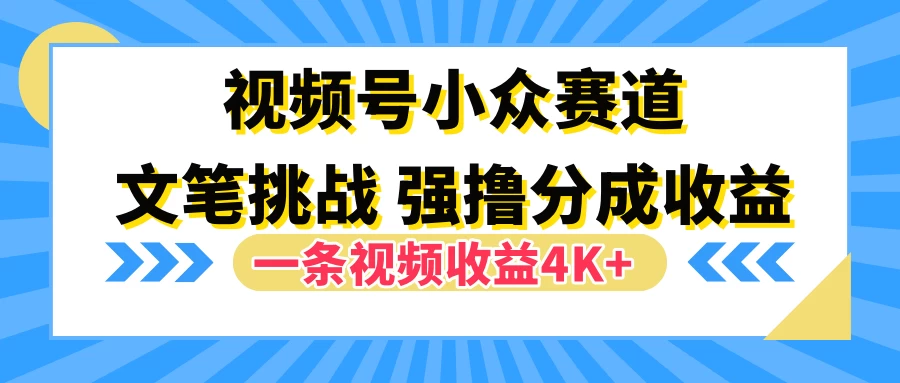视频号小众赛道，文笔挑战，一条视频收益4K+ - 觅资源