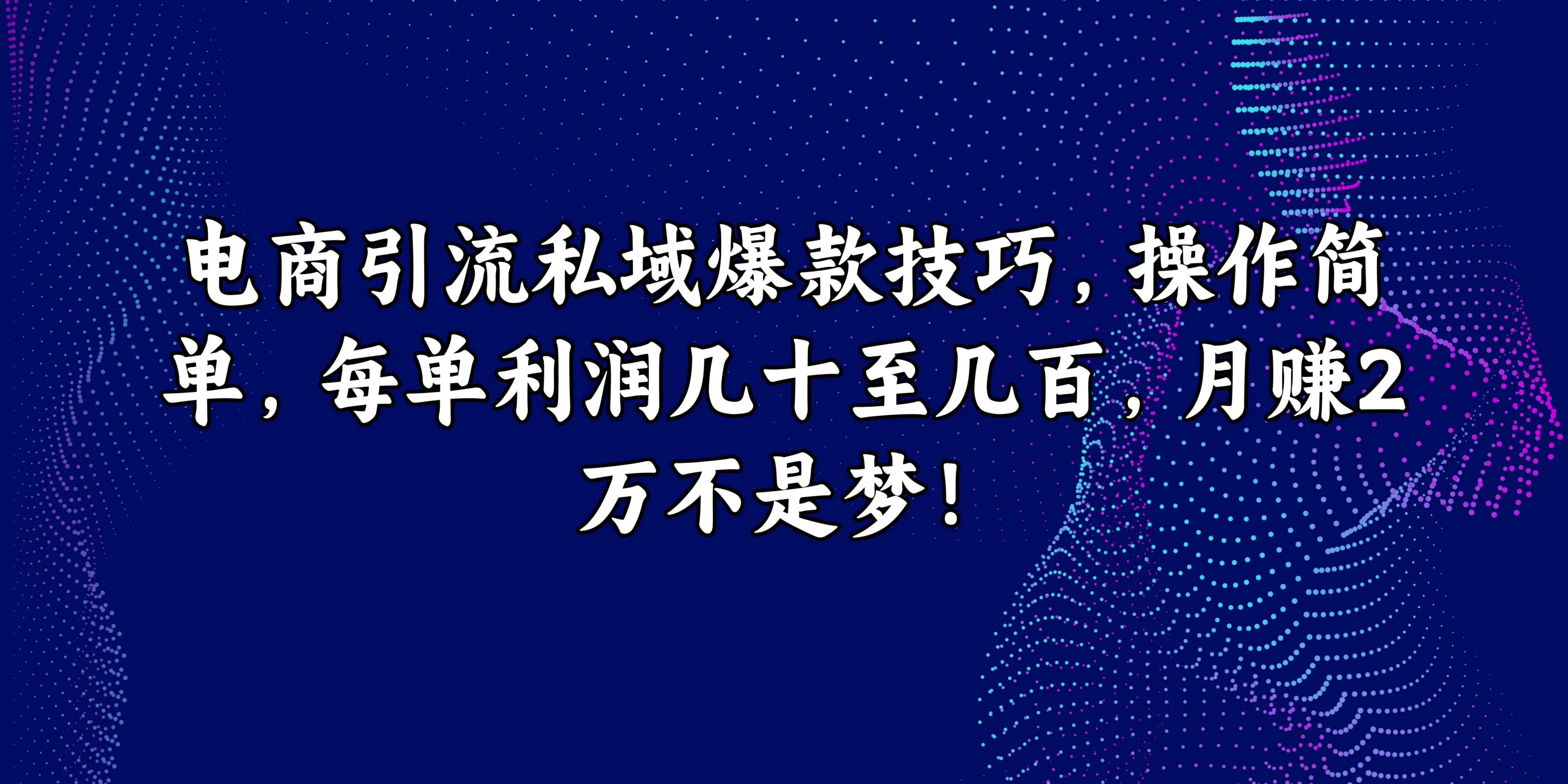 电商引流私域爆款技巧，操作简单，每单利润几十至几百，月赚2万不是梦！ - 觅资源