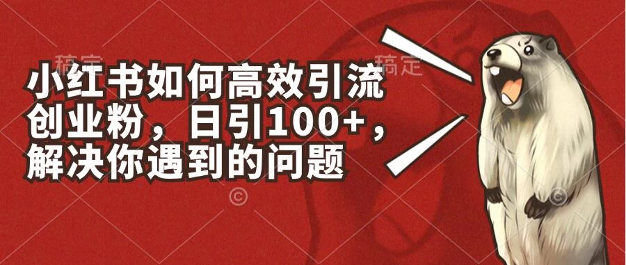 小红书如何高效引流创业粉，日引100+，解决你遇到的问题 - 觅资源