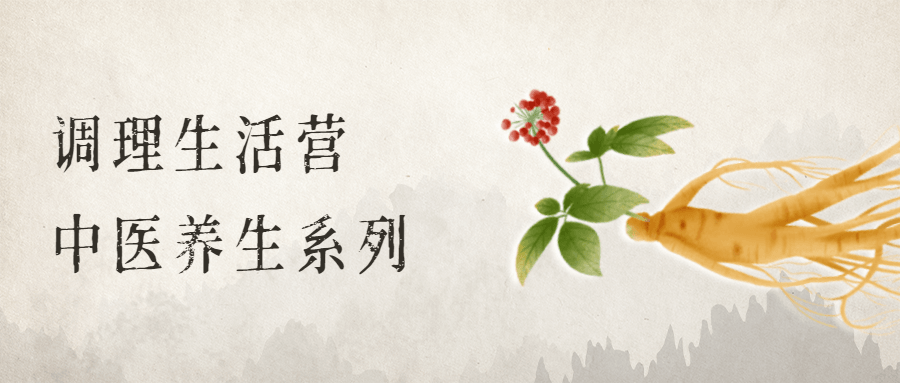 调理生活营：中医养生系列 - 觅资源