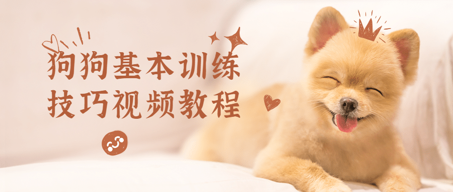 狗狗基本训练技巧视频教程 - 觅资源