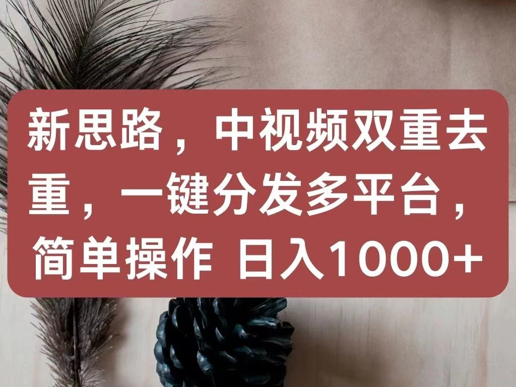 新思路，中视频双重去重，一键分发多平台，简单操作，日入1000+！快来试试吧！ - 觅资源
