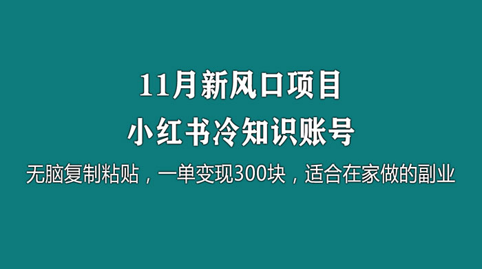11 月新风口项目，小红书冷知识账号，无脑复制粘贴，一单变现 300 块，适合在家做的副业 - 觅资源