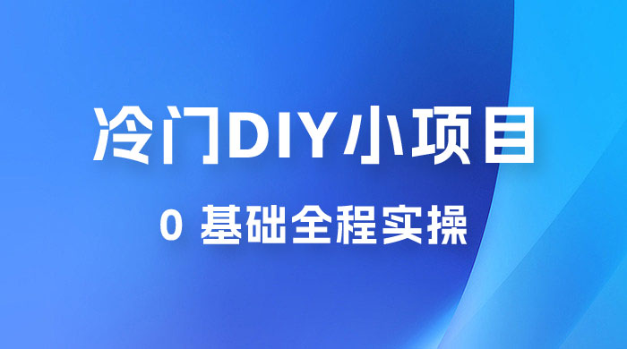 日入几百的冷门 DIY 小项目 0 基础全程实操 - 觅资源