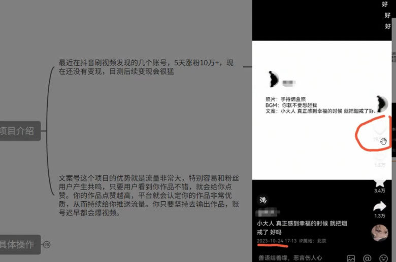 图片[2] - 最新抖音暴力文案号，五天涨粉 10w+，喂饭级拆解教学 - 觅资源