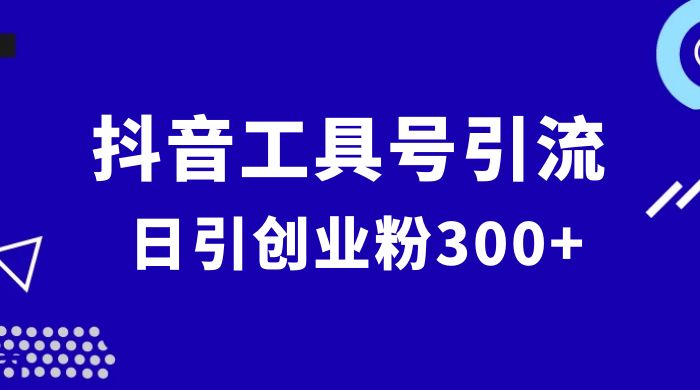 抖音工具号引流玩法，日引创业粉 300+ - 觅资源